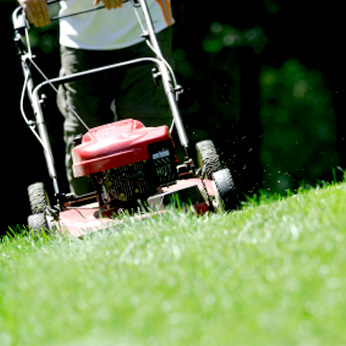 Cornish Gardeners - gardening image
