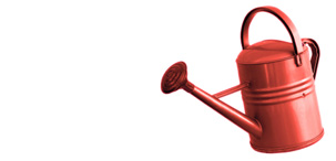 Cornish Gardeners watering can image