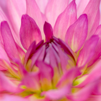 Cornish Gardeners - gardening image