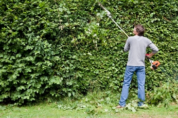 Cornish Gardeners - gardening image